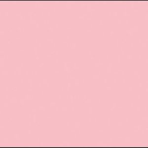 Meet your Posher, Lindsay